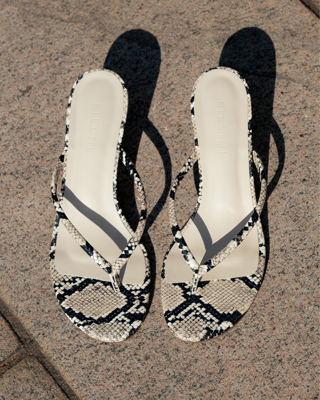 ESTI - ECRU SNAKE-Heels-Billini-BILLINI USA