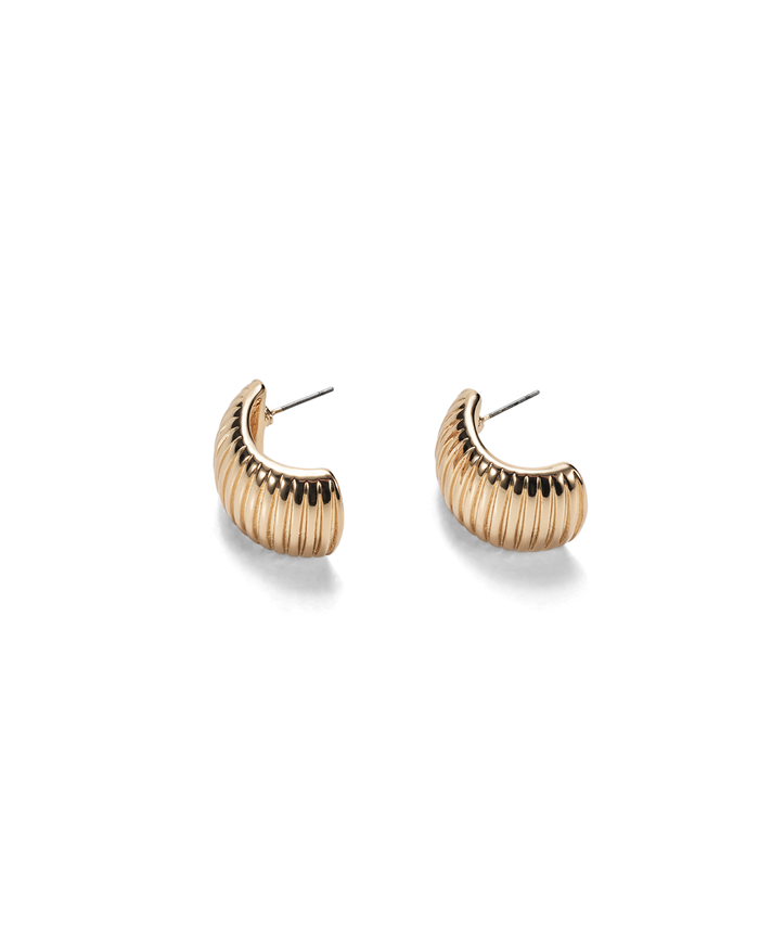 a pair of gold earrings