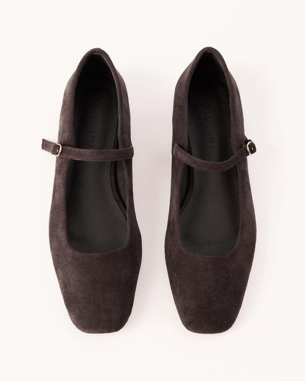 FION - DARK CACAO SUEDE-Flats-Billini-BILLINI USA