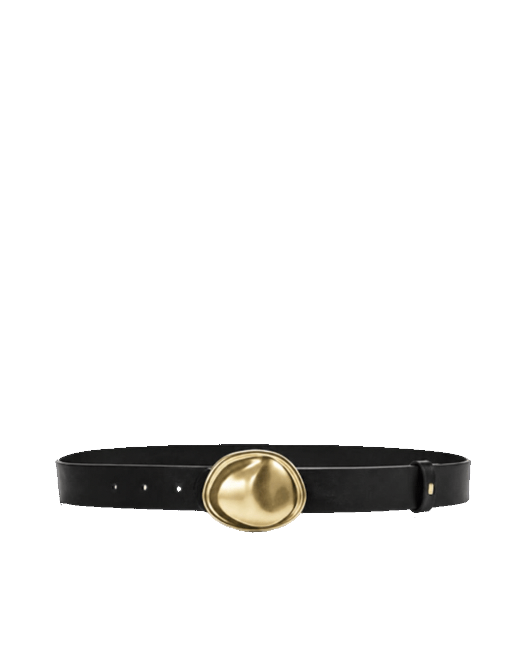 a black belt with a gold buckle
