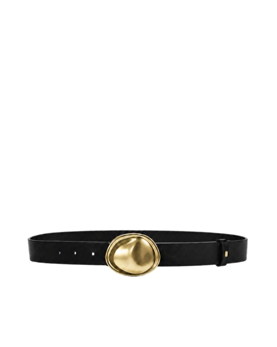 a black belt with a gold buckle