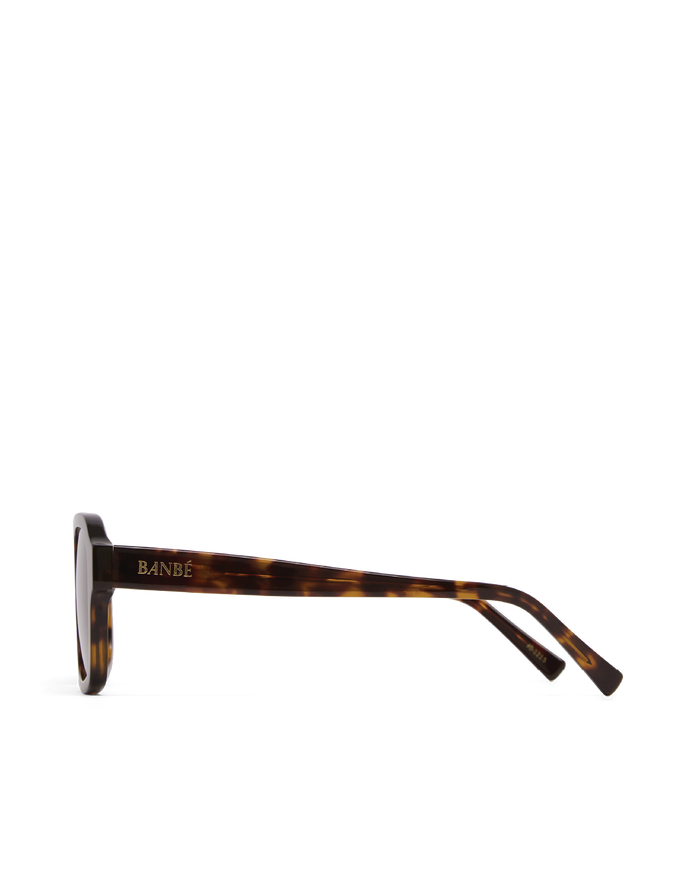 THE DEL RAY - HAVANA TORT-CHOCOLATE-SUNGLASSES-BANBE-BILLINI USA