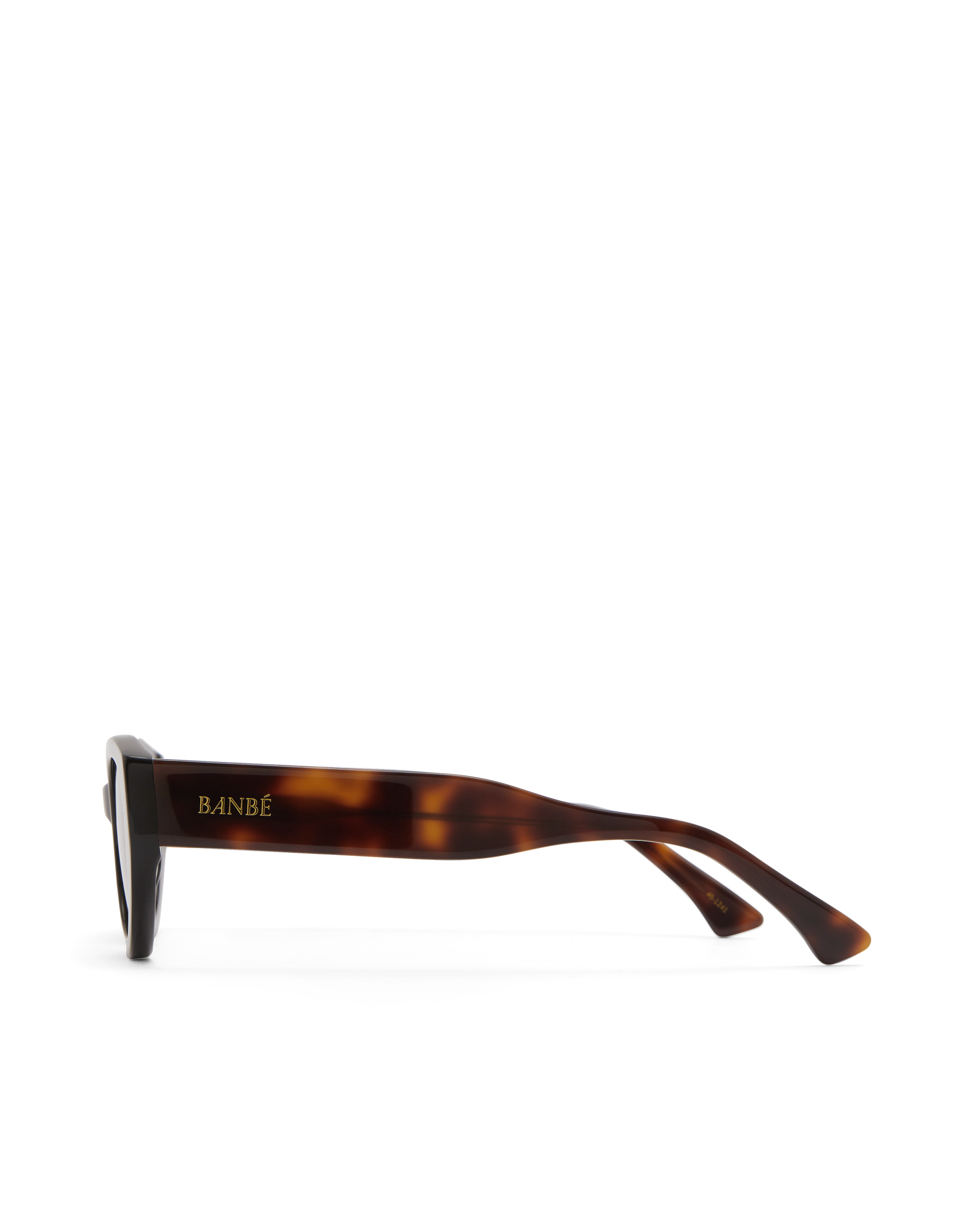 THE KELLY - BLACK-HAVANA TORT-DARK GREEN-SUNGLASSES-BANBE-BILLINI USA