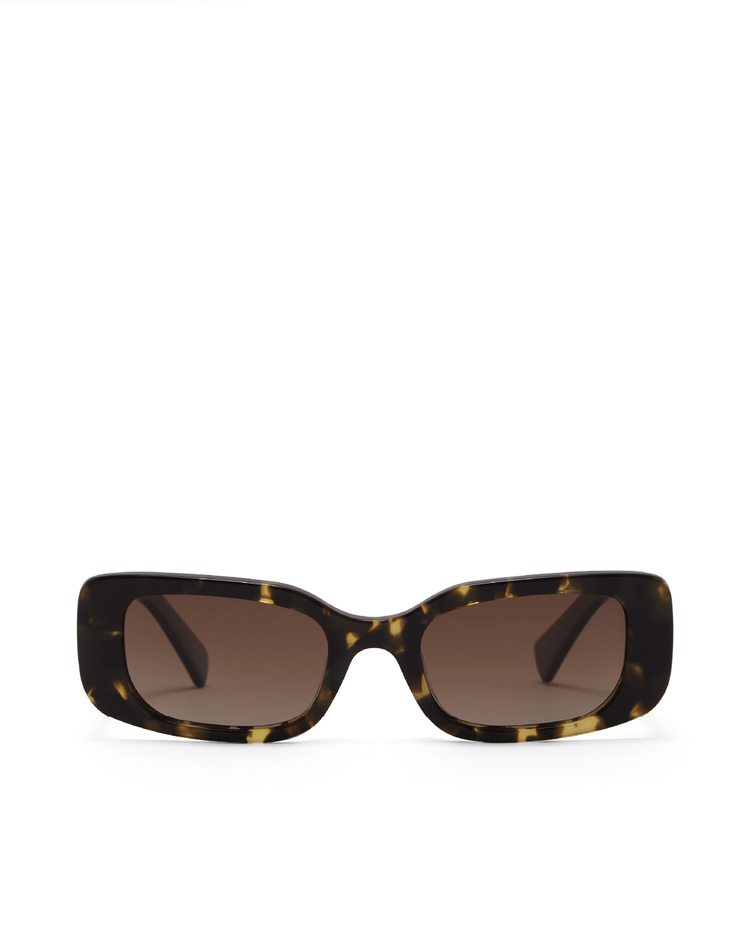 THE TASH - TOFFEE TORT-BLACK-PECAN-SUNGLASSES-BANBE-BILLINI USA