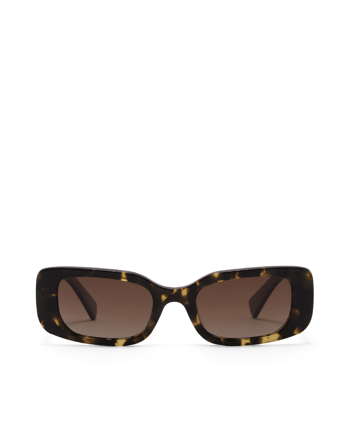 THE TASH - TOFFEE TORT-BLACK-PECAN-SUNGLASSES-BANBE-BILLINI USA