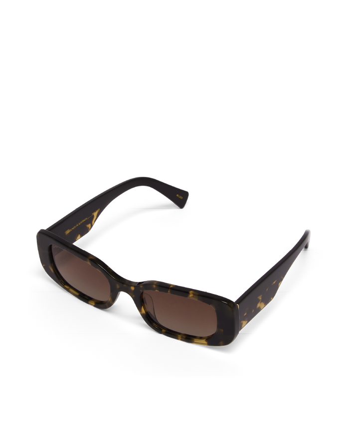 THE TASH - TOFFEE TORT-BLACK-PECAN-SUNGLASSES-BANBE-BILLINI USA