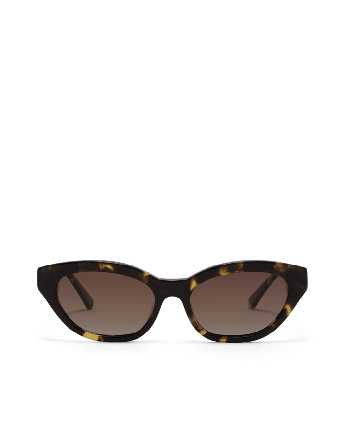 THE WINSLET - TOFFEE TORT-PECAN-SUNGLASSES-BANBE-BILLINI USA