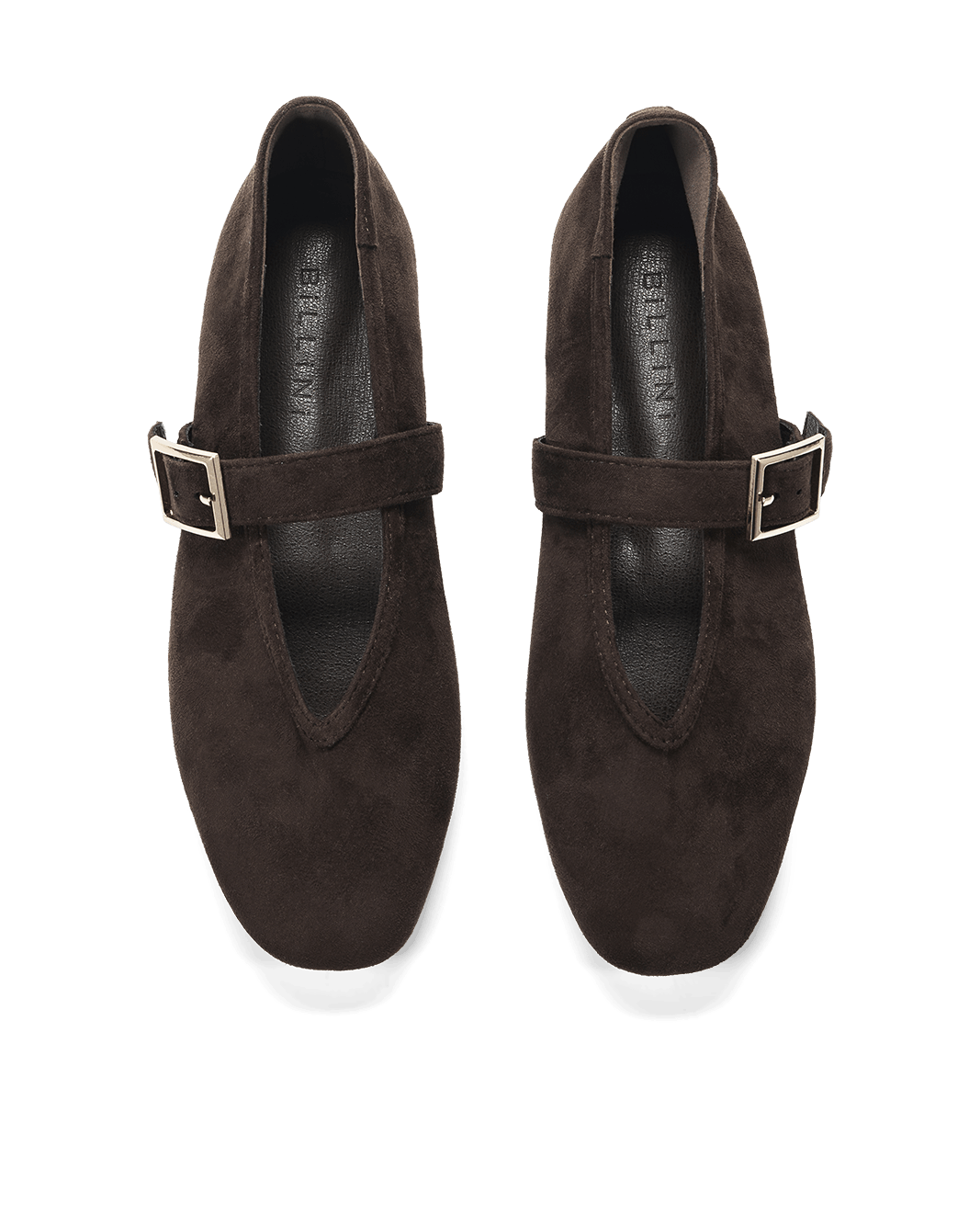 WEDNESDAY - DARK CACAO SUEDE-Flats-Billini-BILLINI USA